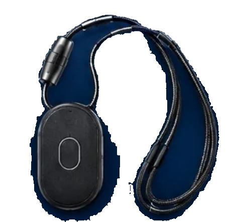 Magnetic lanyard mount